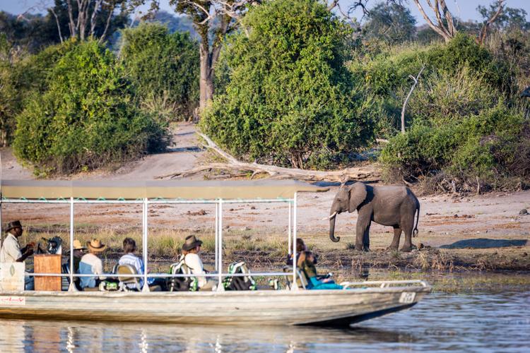 Safari Cruise im Chobe Nationalpark!
